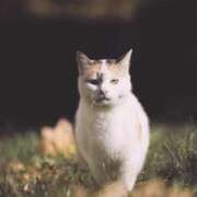 ヒメ日記 2025/02/18 21:44 投稿 のえる ばつぐん素人プロダクション