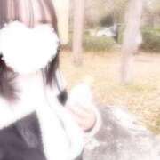 ヒメ日記 2025/03/08 17:01 投稿 のえる ばつぐん素人プロダクション