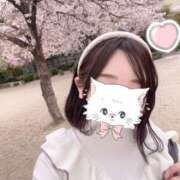 ヒメ日記 2025/04/19 03:28 投稿 のえる ばつぐん素人プロダクション