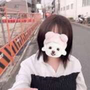 ヒメ日記 2025/04/25 21:05 投稿 のえる ばつぐん素人プロダクション