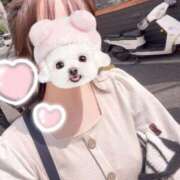 ヒメ日記 2025/05/12 14:48 投稿 のえる ばつぐん素人プロダクション