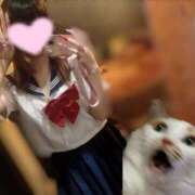 ヒメ日記 2026/03/09 10:52 投稿 楠　うた☆超可愛いうさぎさん 愛ドル学園　☆制服着たまま部☆