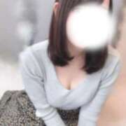 ヒメ日記 2025/04/18 20:01 投稿 コトリ エピソード(品川)