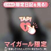 コトリ 冬ってもう終わりました？ エピソード(品川)