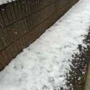 ヒメ日記 2026/02/08 14:09 投稿 れいな アネックスジャパン