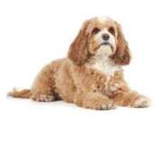 ヒメ日記 2025/03/07 12:38 投稿 浅野 まなみ ハレ系 放課後クラブ