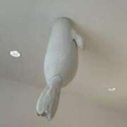 ヒメ日記 2025/05/22 17:31 投稿 ウイ マテリアル