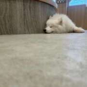 ウイ ? マテリアル