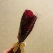 ヒメ日記 2025/12/11 12:11 投稿 まゆ 奥様さくら難波店