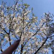 ヒメ日記 2025/04/08 08:32 投稿 海歌(うみか)♥安らぎのエロス 美魔女コレクション