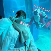 ヒメ日記 2024/12/24 08:52 投稿 まい ぷにぷにプリンセス