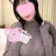 ヒメ日記 2024/12/12 23:36 投稿 もあ One More 奥様　西船橋店