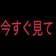 ヒメ日記 2025/11/17 07:46 投稿 もあ One More 奥様　西船橋店