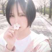 葛城ののか しゅっきーん🌸 ニューハーフヘルスLIBE大阪梅田店