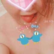 ヒメ日記 2026/01/17 23:52 投稿 かおり 横浜・関内サンキュー