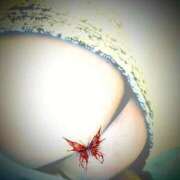 ヒメ日記 2025/10/12 09:09 投稿 ゆき 多治見・土岐・春日井ちゃんこ