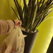 ヒメ日記 2025/01/21 01:04 投稿 はな One More奥様　蒲田店