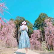 ヒメ日記 2025/03/27 16:38 投稿 はな One More奥様　蒲田店