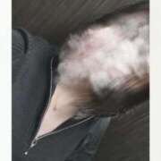 ヒメ日記 2025/10/09 16:09 投稿 はな One More奥様　蒲田店