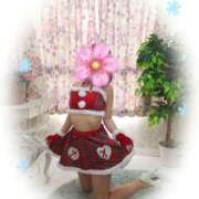 ヒメ日記 2026/04/01 13:31 投稿 はな One More奥様　蒲田店