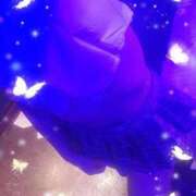 ヒメ日記 2026/04/08 23:41 投稿 はな One More奥様　蒲田店