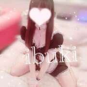 ヒメ日記 2024/12/24 19:00 投稿 いぶき Gossip girl