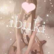 ヒメ日記 2025/03/14 22:14 投稿 いぶき Gossip girl