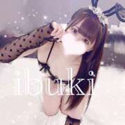 ヒメ日記 2025/04/02 17:19 投稿 いぶき Gossip girl