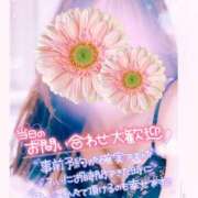 ヒメ日記 2025/01/08 03:25 投稿 ゆの 超姫SPA