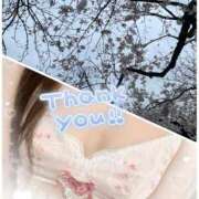 ヒメ日記 2025/04/02 13:22 投稿 しのぶ 人妻ちゃんねる