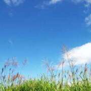 しのぶ 体調不良により 人妻ちゃんねる