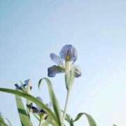 ヒメ日記 2026/06/11 22:18 投稿 しのぶ 人妻ちゃんねる