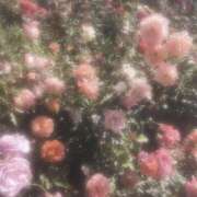 ヒメ日記 2025/04/11 19:07 投稿 ひまり アラモード