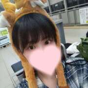 ヒメ日記 2025/05/12 17:24 投稿 ひまり アラモード