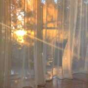 ヒメ日記 2025/05/22 22:07 投稿 ひまり アラモード