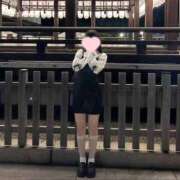 ヒメ日記 2025/06/05 11:06 投稿 ひまり アラモード