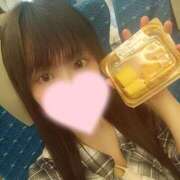 ヒメ日記 2025/06/06 07:53 投稿 ひまり アラモード