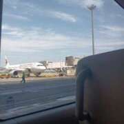 ヒメ日記 2025/06/16 11:41 投稿 ひまり アラモード