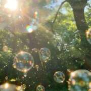 ヒメ日記 2025/07/01 16:54 投稿 ひまり アラモード