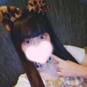 ヒメ日記 2025/07/31 19:34 投稿 ひまり アラモード