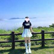 ヒメ日記 2025/08/18 09:09 投稿 ひまり アラモード