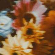 ヒメ日記 2025/10/14 22:06 投稿 ひまり アラモード