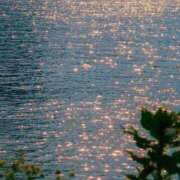 ヒメ日記 2025/10/20 07:34 投稿 ひまり アラモード