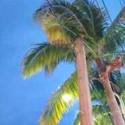 ヒメ日記 2025/12/02 01:01 投稿 ひまり アラモード