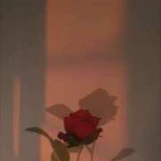 ヒメ日記 2026/01/23 17:59 投稿 ひまり アラモード