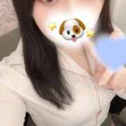 ヒメ日記 2025/02/24 17:09 投稿 朝吹　ほのか OLピンクコレクション