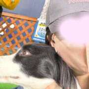 ヒメ日記 2025/05/04 19:09 投稿 朝吹　ほのか OLピンクコレクション