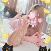 ヒメ日記 2025/04/26 12:38 投稿 宮舘 熟女の風俗最終章　鶯谷店