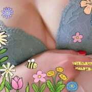 ヒメ日記 2025/11/23 20:06 投稿 宮舘 熟女の風俗最終章　鶯谷店