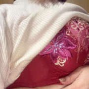 ヒメ日記 2024/12/15 08:01 投稿 のりこ 熟女の風俗最終章 宇都宮店